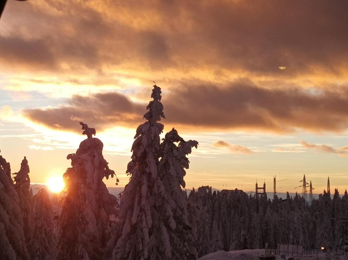 Mali Medved Konaci Apartment Kopaonik Luaran gambar